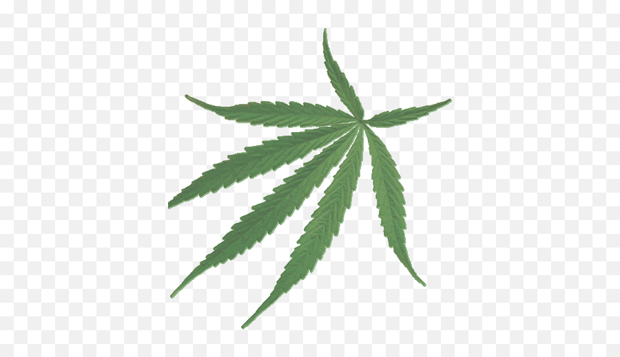 Hemp Know Your Meme - Maple Leaf Emoji,Weed Leaf Emoji