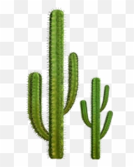 Free Desert Cactus Png Download Free Clip Art Free Clip - Desert Cactus Transparent Background Emoji,Cactus Emoji