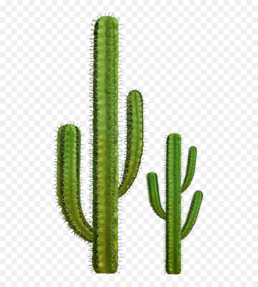 Free Desert Cactus Png Download Free Clip Art Free Clip - Desert Cactus Transparent Background Emoji,Cactus Emoji
