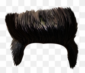 200 Hair Png Download Hair Png All Latest 2020 New - Hair Design Emoji,Skunk Emoji Copy And Paste