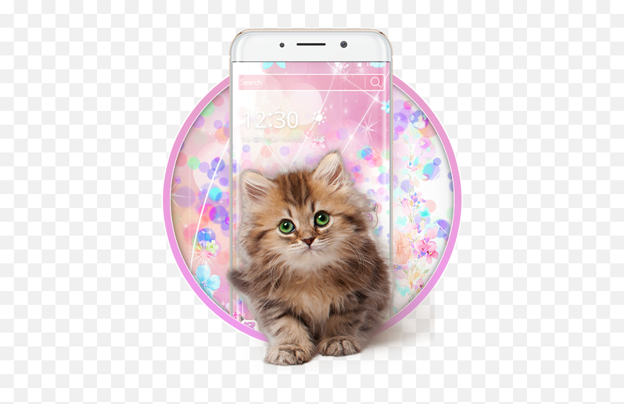 Salmon Cute Cat 2d Theme - Kitten Png Emoji,Cute Cat Emojis