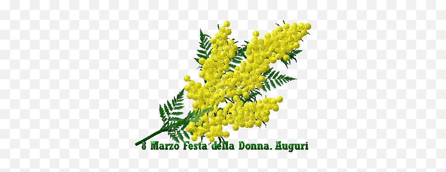Mimosa - Festa Della Donna Gif Emoji,Mimosa Emoji