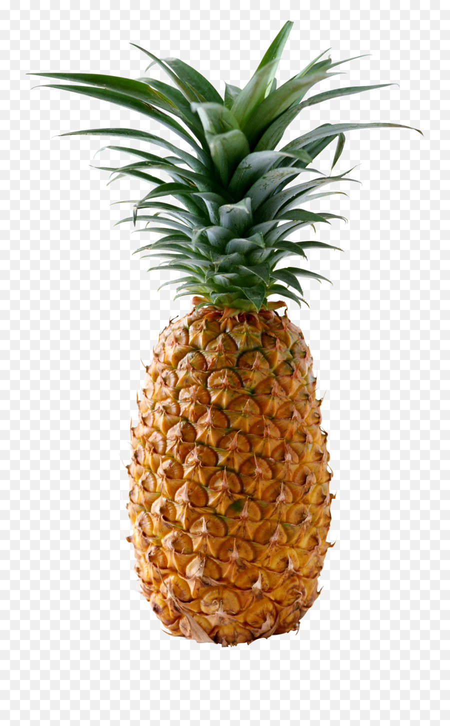 Pineapple Png Images - Transparent Pineapple Png Emoji,Pineapple Emoji