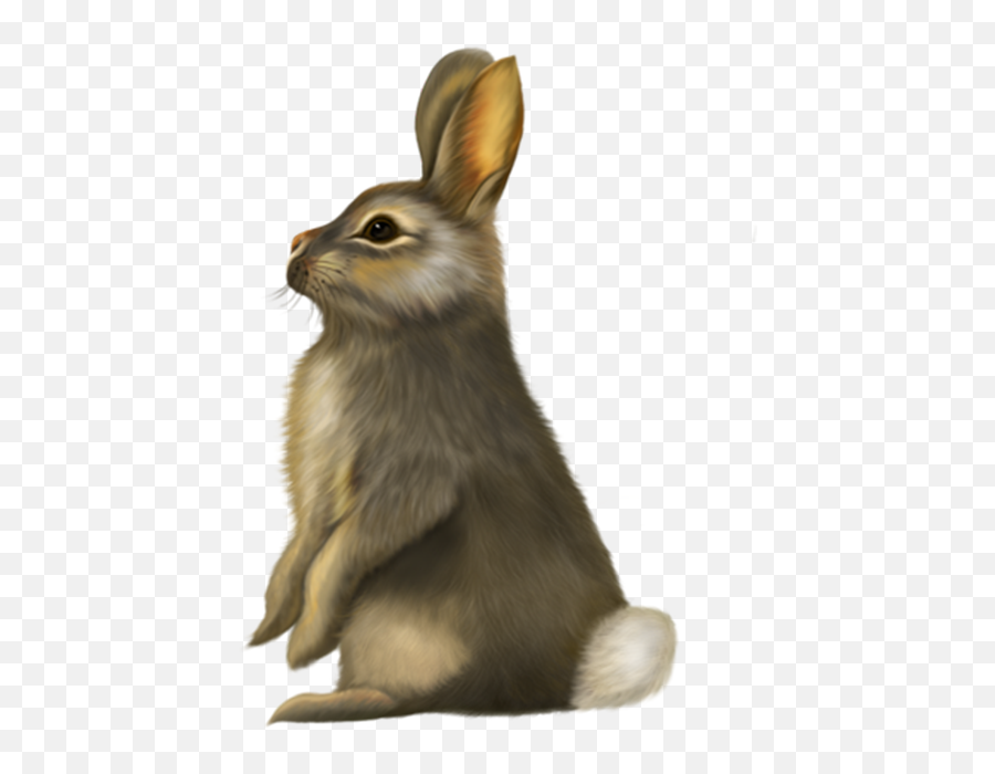 Moodzie Loves Easter - Life Learning Apps U0026 Gifts Emoji,Rabbit Egg Emoji