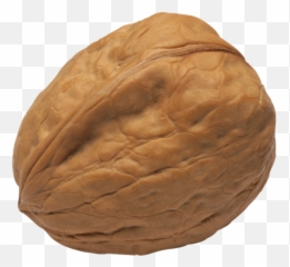 Pin - Transparent Nutshell Png Emoji,Walnut Emoji