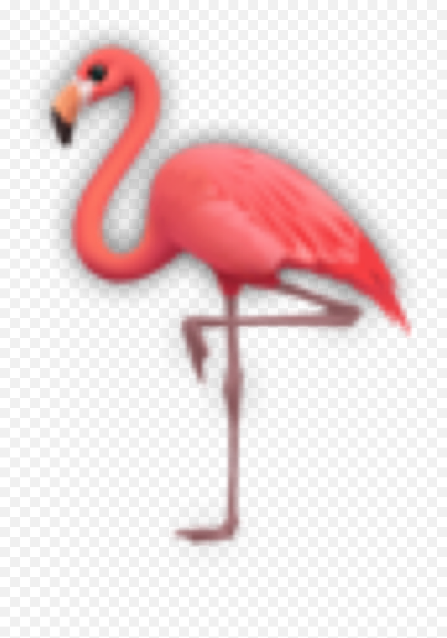 Flamingo Flamingos Emoji Sticker - Greater Flamingo,Flamingo Emoji