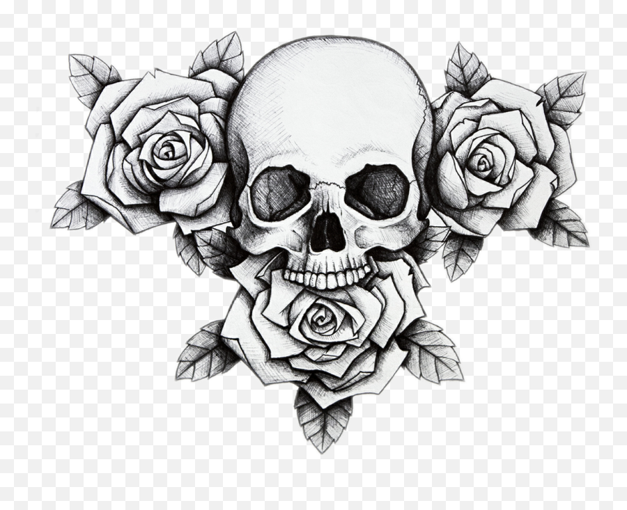 Skull Flower Rose Dead Sticker - Skull With Roses Drawing Emoji,Dead ...