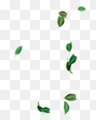 Leaf Green Tree - Falling leaves png download 14001400 Png Emoji