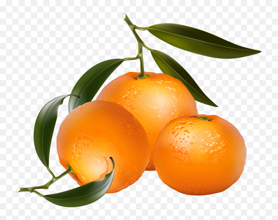 Clip Art Of Citrus Fruit - Four Oranges Clip Art Emoji,Tangerine Emoji