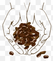Clip Art Cafe Brown Holding Beans - Coffee Illustration Png Emoji
