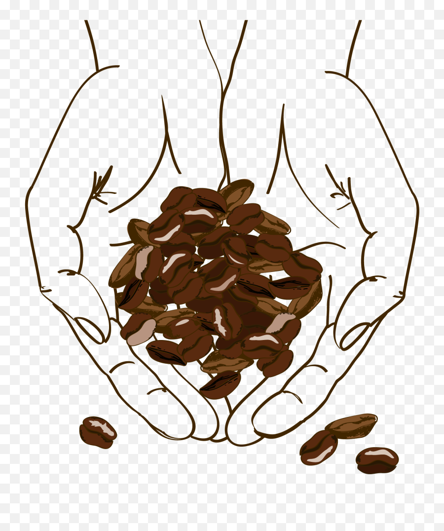 Clip Art Cafe Brown Holding Beans - Coffee Beans Illustration Png Emoji,Coffee Bean Emoji