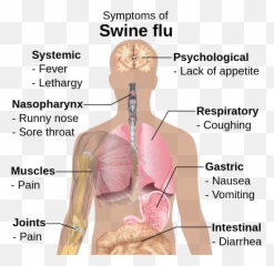 Symptoms Of Swine Flu - Human Emoji