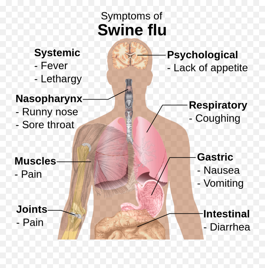 Symptoms Of Swine Flu - Human Swine Flu Symptoms Emoji,Mic Emoji