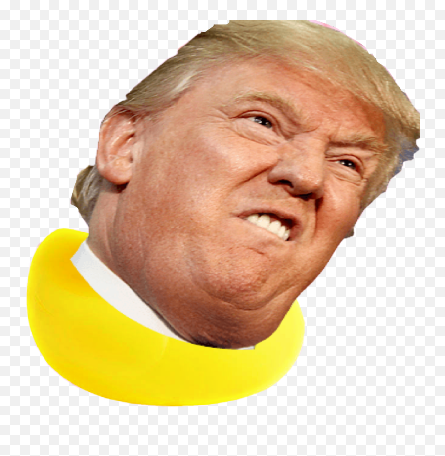 Donald Trump As A Duck Duck Donaldtrump - Boris Johnson Trump Twins Emoji,Donald Trump Emoji