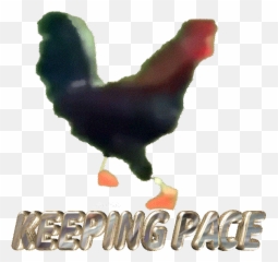 Top Trends Sticker Stickers for Android u0026 iOS Gfycat - Rooster Emoji