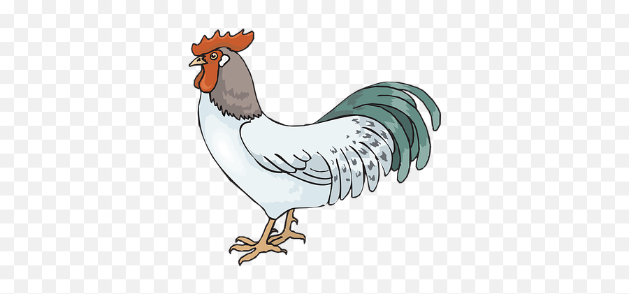80 Free Cock U0026 Rooster Vectors - Pixabay Clip Art Emoji,Rooster Emoticon