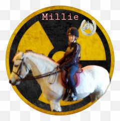 Edit Horse Millie Ride Rider Riding Love - Stallion Emoji