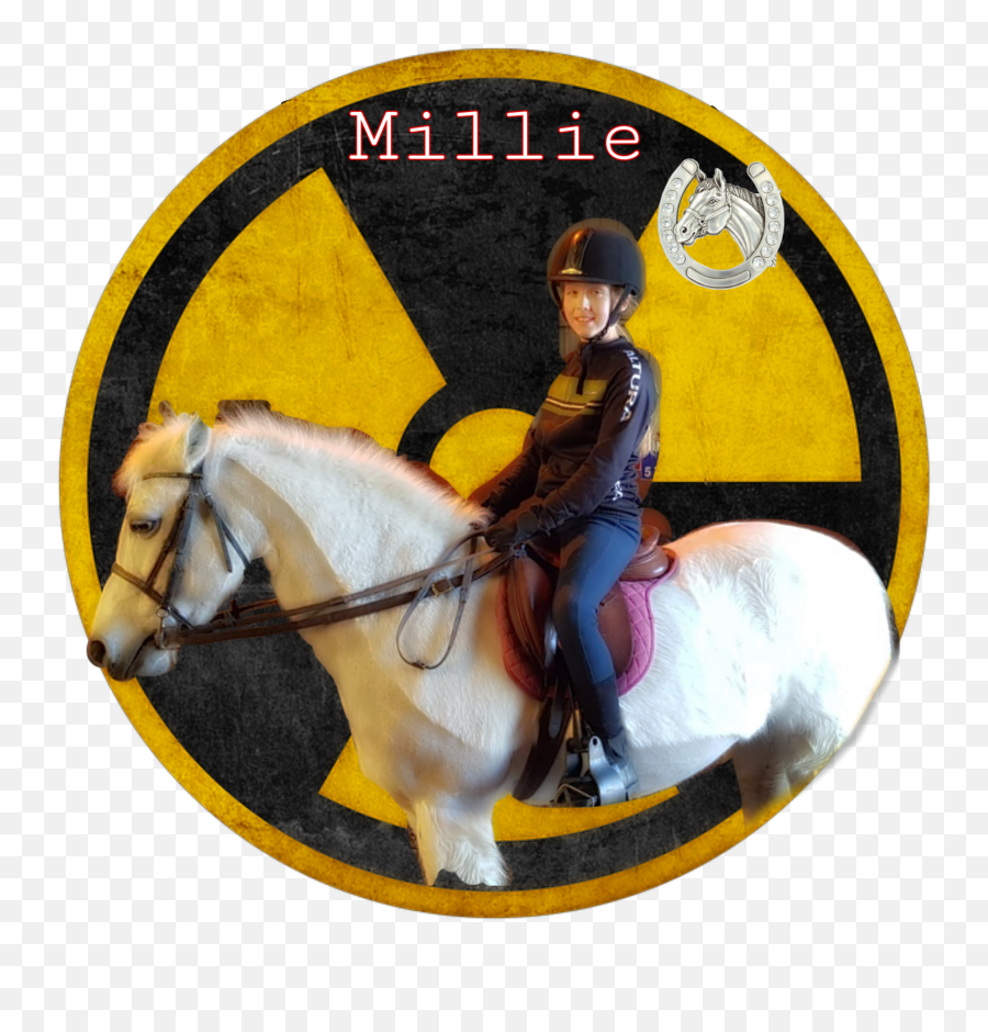 Edit Horse Millie Ride Rider Riding Love - Stallion Emoji,Horse Riding Emoji