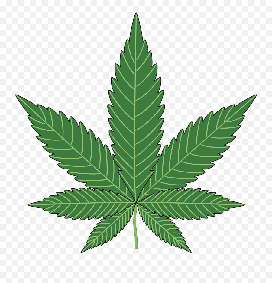 Baking Cannabis Hemp Leaf Marijuana - Marijuana Png Emoji,Weed Leaf Emoji