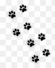 Scpaws Paws Dogpaw Paw - Carte De Voeux 2020 Chat Emoji,Paws Emoji