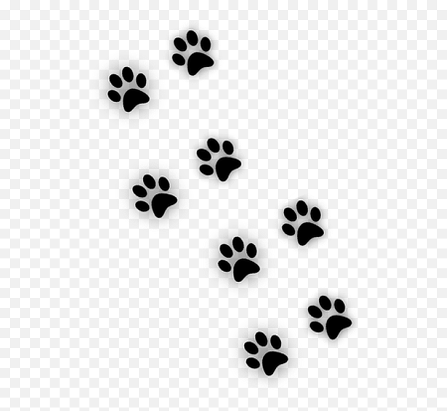 Scpaws Paws Dogpaw Paw - Carte De Voeux 2020 Chat Emoji,Paws Emoji