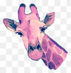 Largest Collection Of Free - Toedit Jerapah Stickers On Picsart Aquarell Giraffe Emoji,Giraffeemoji.com