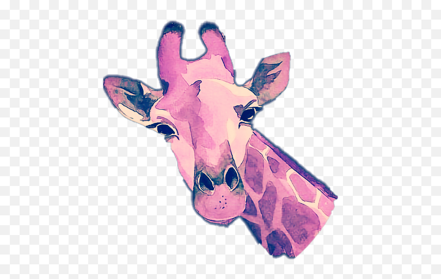 Largest Collection Of Free - Toedit Jerapah Stickers On Picsart Aquarell Giraffe Emoji,Giraffeemoji.com