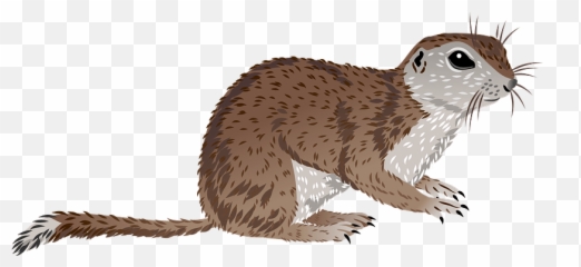Mohave Ground Squirrel Clipart - Animal Figure Emoji,Weasel Emoji