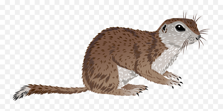 Mohave Ground Squirrel Clipart - Animal Figure Emoji,Weasel Emoji