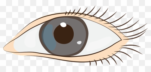 Free Eyes Face Eyes Vectors - Sight Clipart Emoji,Bloodshot Eyes Emoji