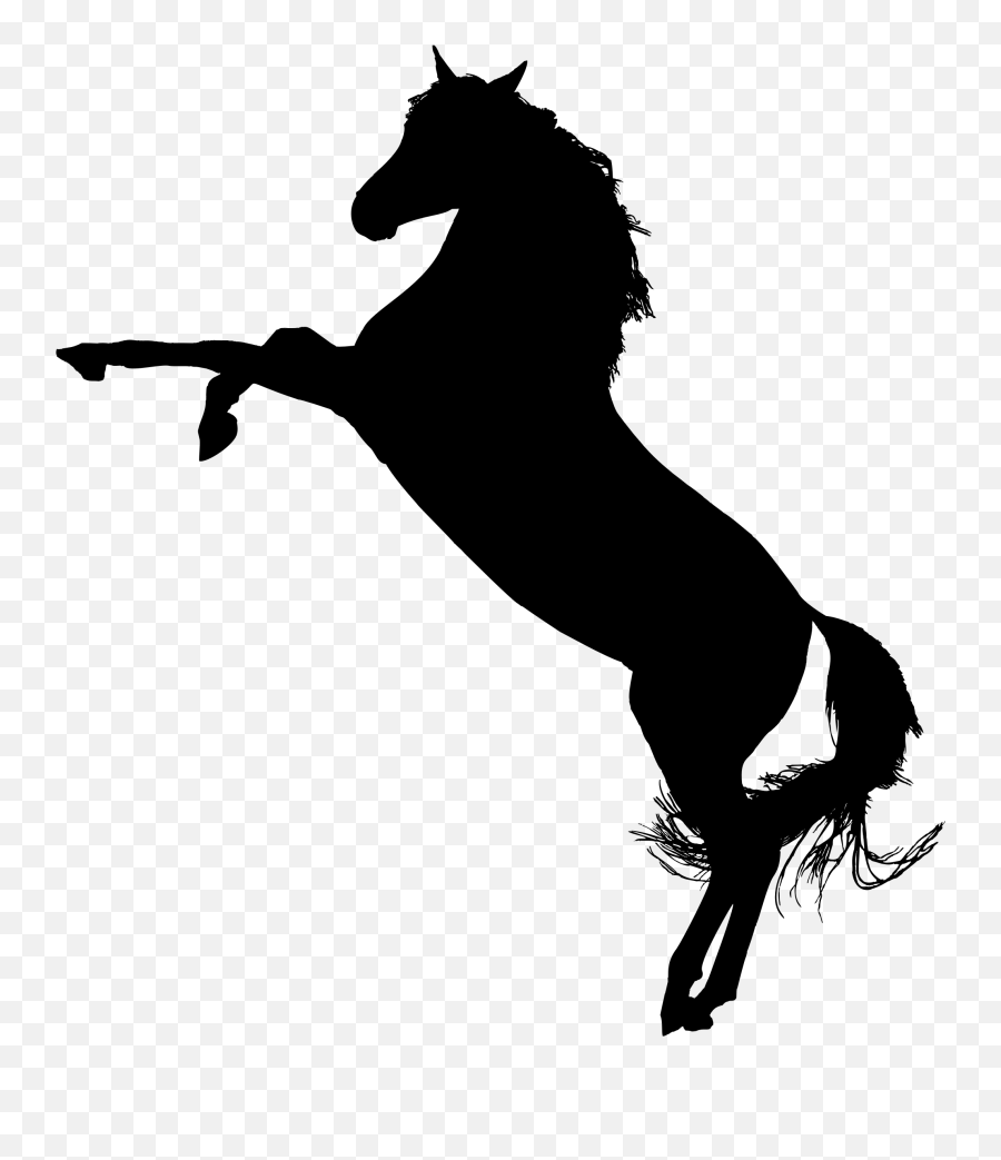Horses Clipart Arabian Horse Horses - Horse On Hind Legs Clipart Emoji,Horse Head Emoji