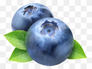 Emoji Ideas Feel Free To Suggest - Transparent Background Blueberries Clipart,Blueberry Emoji