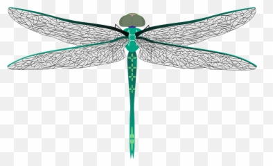 Dragonfly Bug Insect Darning - Syringe Emoji