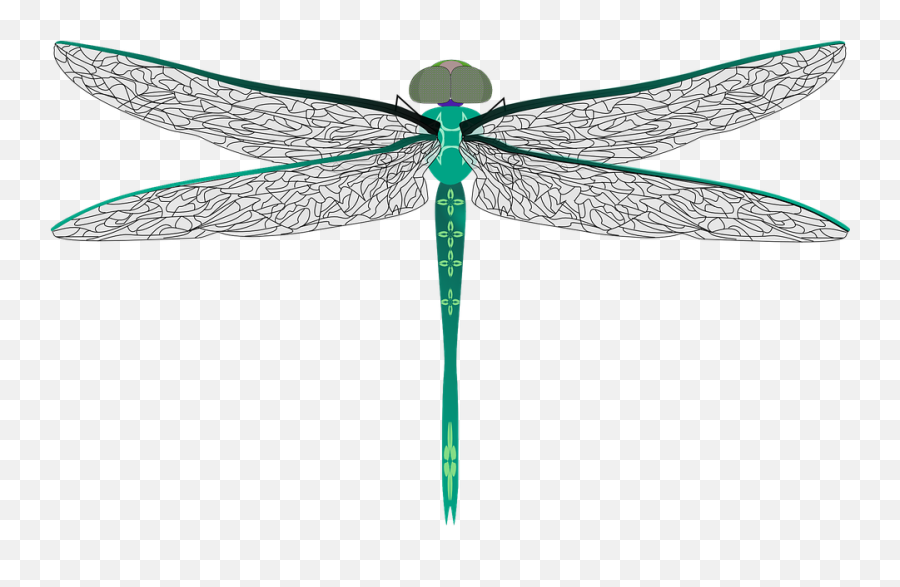 Dragonfly Bug Insect Darning - Dragonfly Syringe Emoji,Bee Needle Emoji