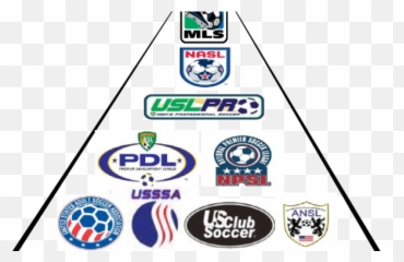 The Nutmeg News - Crest Emoji