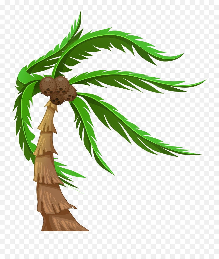 Tree Arecaceae Coconut Clip Art - Coconut Tree Png Download Transparent Background Coconut Tree Clipart Emoji,Palm Tree Emoji Png