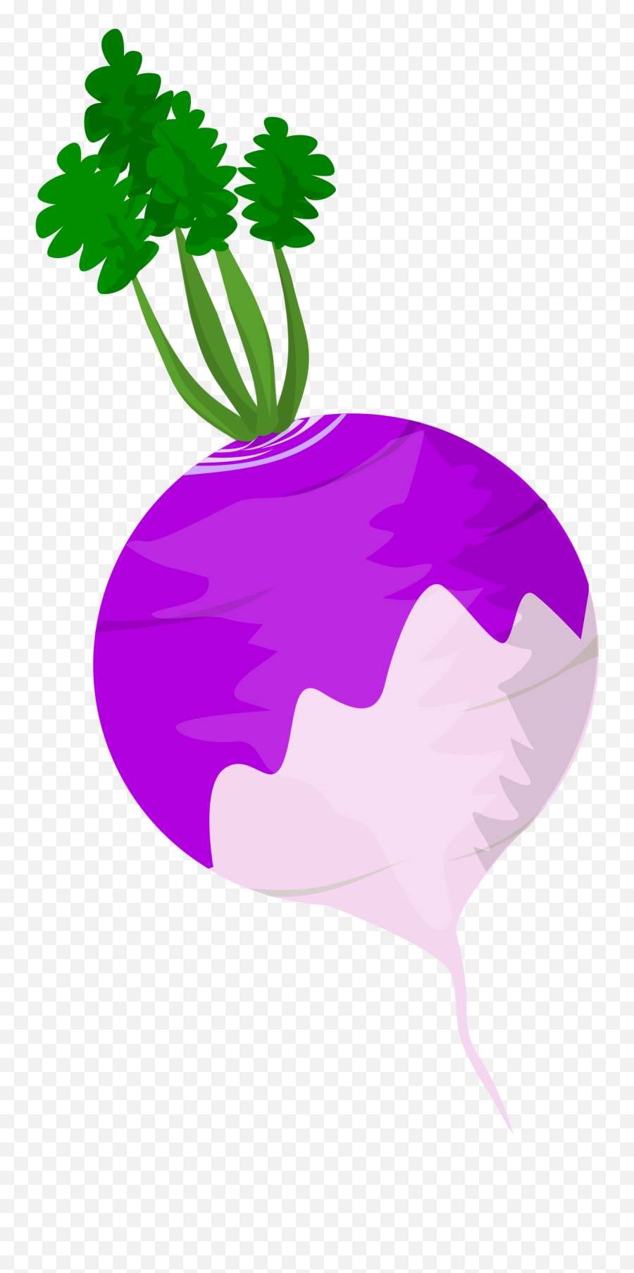Vegetables Clipart Turnip - Turnip Clipart Emoji,Turnip Emoji