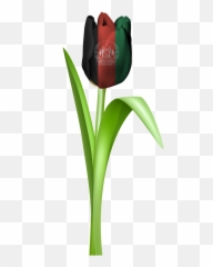 Tulip Iran Tajikistan Afghanistan - Afghanstan Flag Png Hd Emoji,Afghan Flag Emoji
