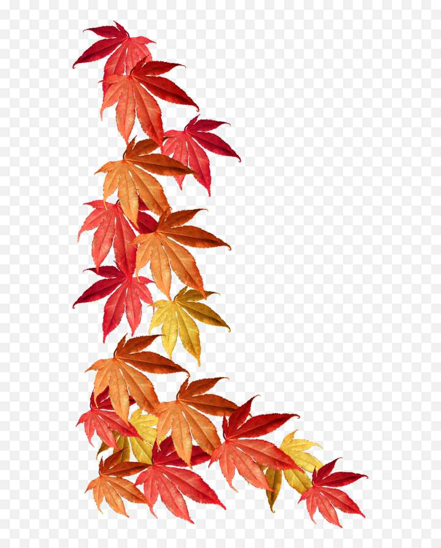 Library Of Tree With Red Yellow And Green Leaves Transparent - Transparent Fall Leaves Border Emoji,Leaves Emoji