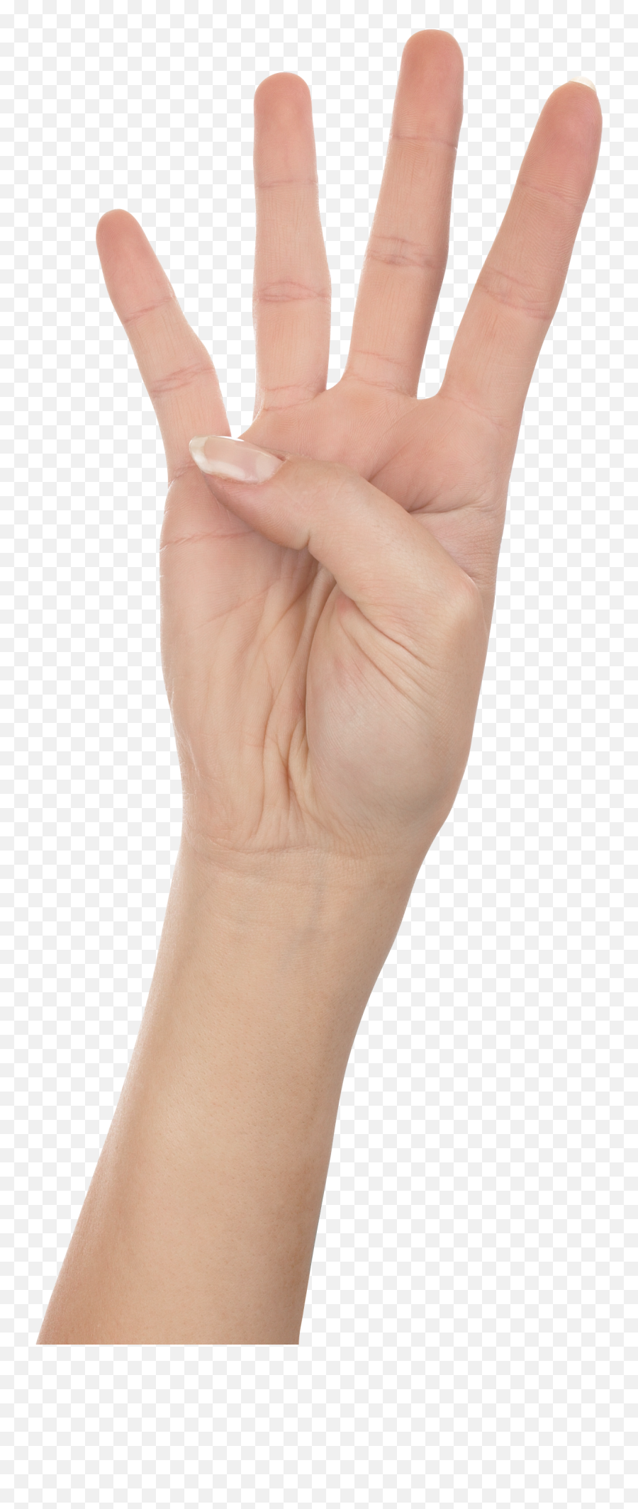 Four Finger Hand Hands Png Hand Image - Four Finger Png Emoji,4 Fingers Emoji
