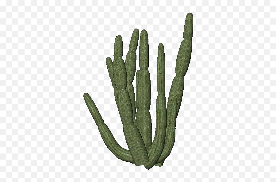 Cactus Transparent Png Cactus Free Picture Download - Organ Pipe Cactus Transparent Emoji,Cactus Emoji