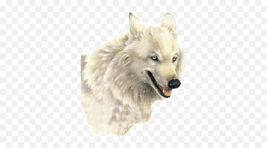 Emoticone - White Wolf Png Png Emoji,Emoticone