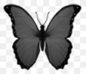 Butterfly Sticker For Ios Amp Android - Transparent Background Butterfly Emoji Png,Butterfly Emoji Android