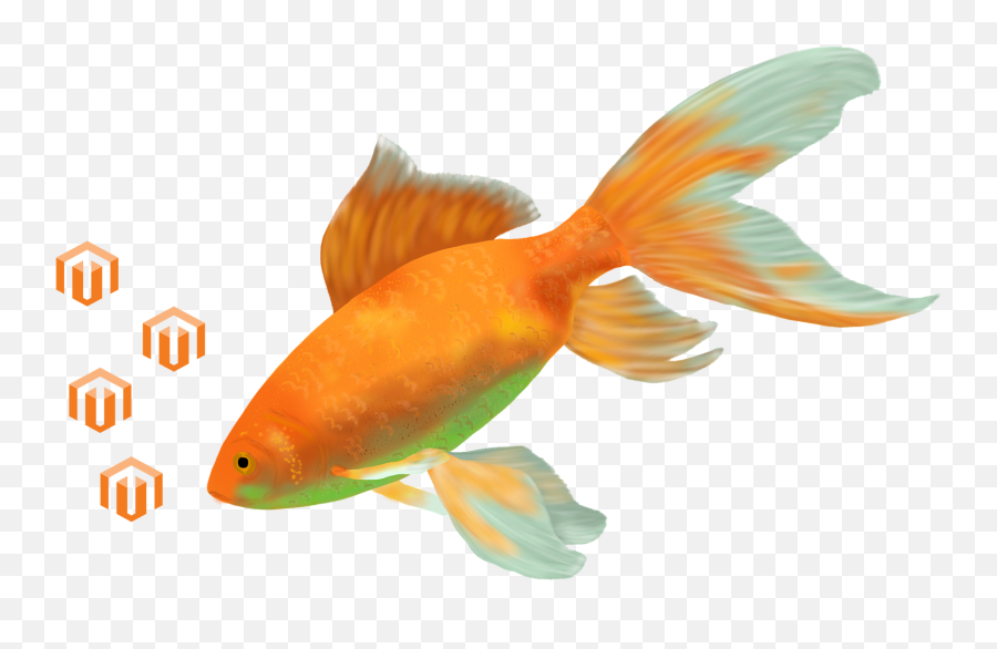Magento Fish - Goldfish Emoji,Goldfish Emoji