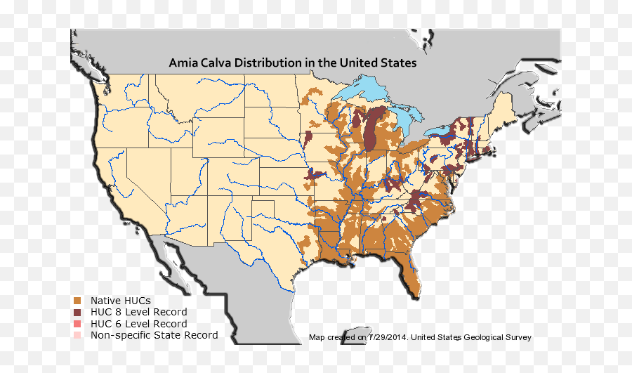 Bowfin Distribution In Us - Bowfin Distribution United States Emoji,Emoji Level 57