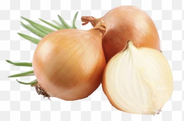 Onion Png Background Clipart - Yellow Onion Png Emoji,Onion Emoji