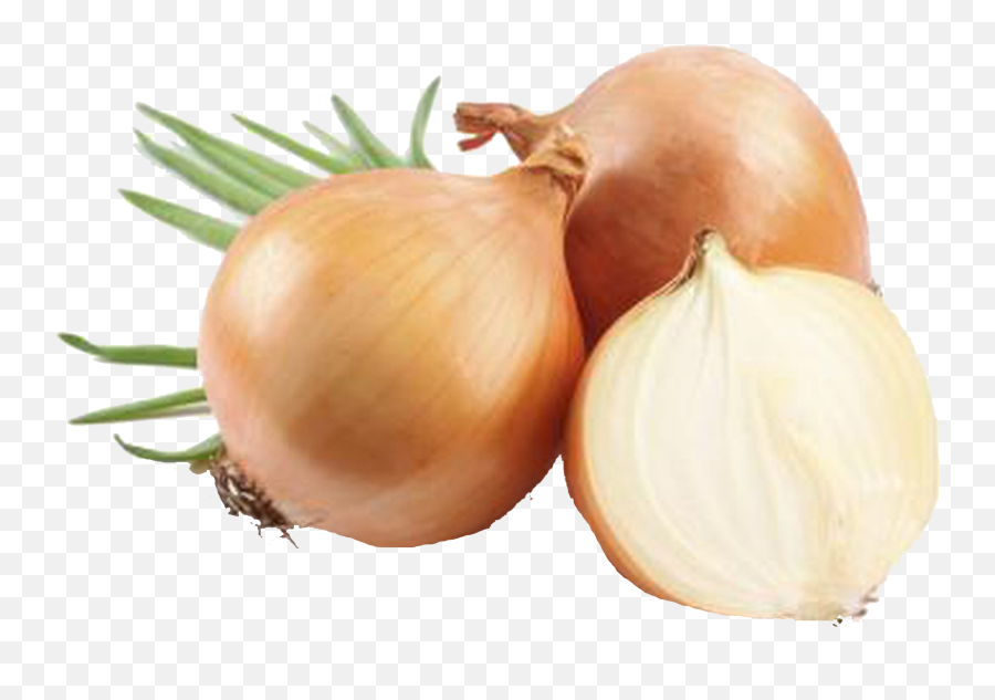 Onion Png Background Clipart - Yellow Onion Png Emoji,Onion Emoji