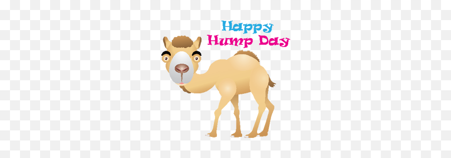 2015 - Happy Birthday Emoji,Hump Day Emoji