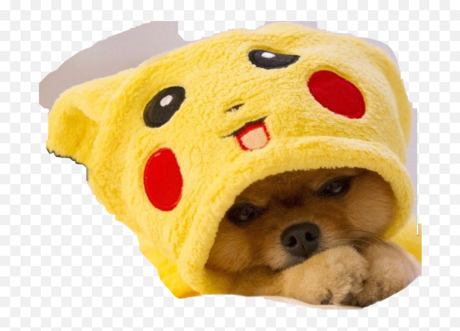 Jiffpom Freetoedit - Cute Puppies Wearing Costumes Emoji,Jiffpom Emoji
