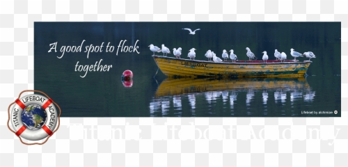 Titanic Lifeboat Academy - Titanic Lifeboat Sign Emoji,Boat Gun Gun Boat Emoji